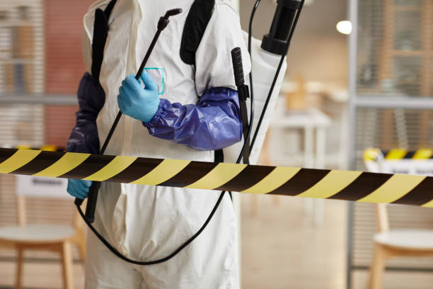 Professional Blood Cleanup technician working in Mona, UT